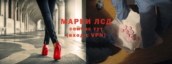 шишки Абаза