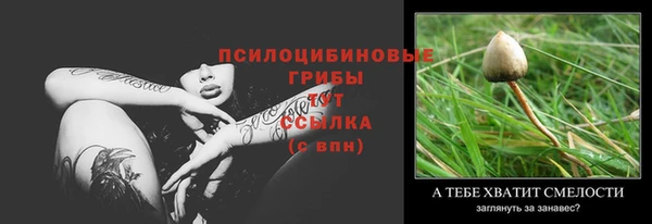 шишки Абаза