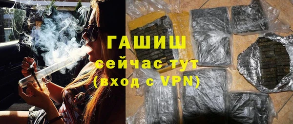 шишки Абаза