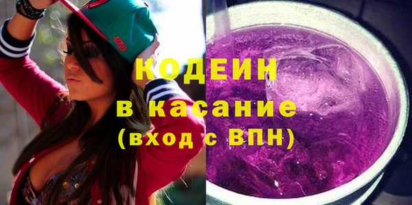 шишки Абаза