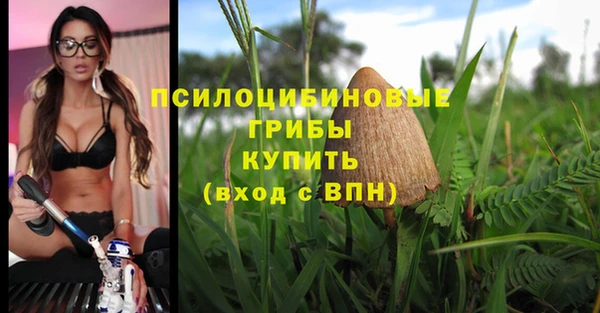 дурь Абинск