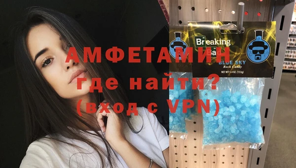 шишки Абаза
