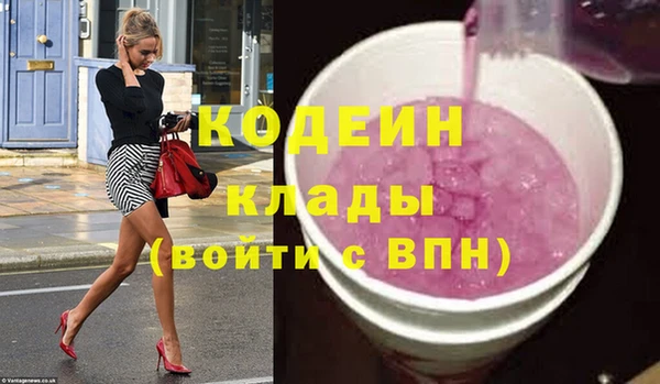 шишки Абаза