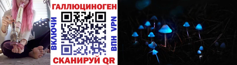 Псилоцибиновые грибы мицелий  MEGA tor  Калачинск 